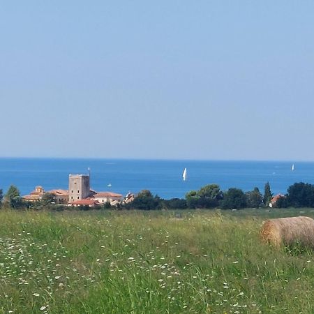 Apartments Henc Novigrad Istria Extérieur photo