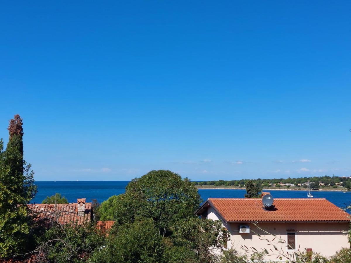 Apartments Henc Novigrad Istria Extérieur photo