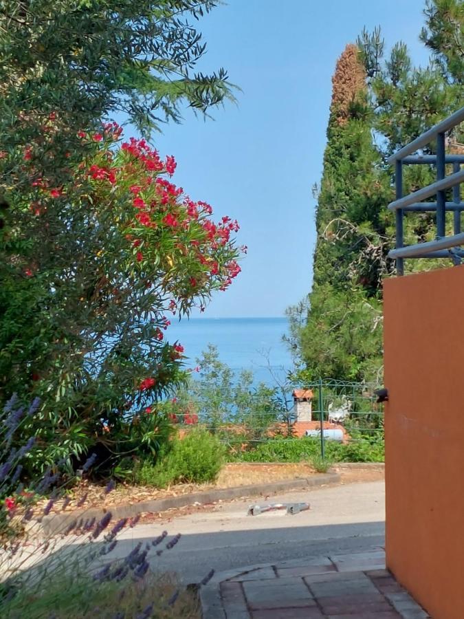 Apartments Henc Novigrad Istria Extérieur photo