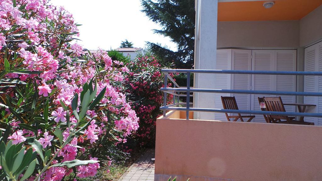Apartments Henc Novigrad Istria Chambre photo