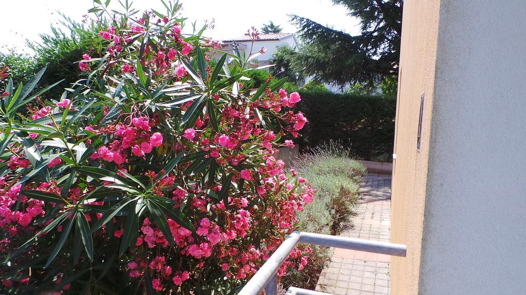 Apartments Henc Novigrad Istria Extérieur photo