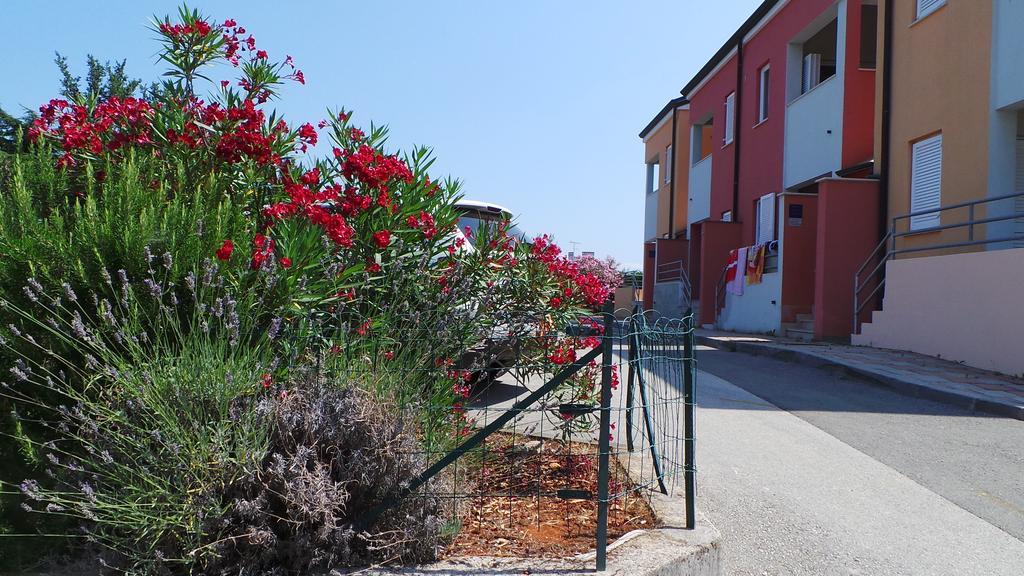 Apartments Henc Novigrad Istria Extérieur photo