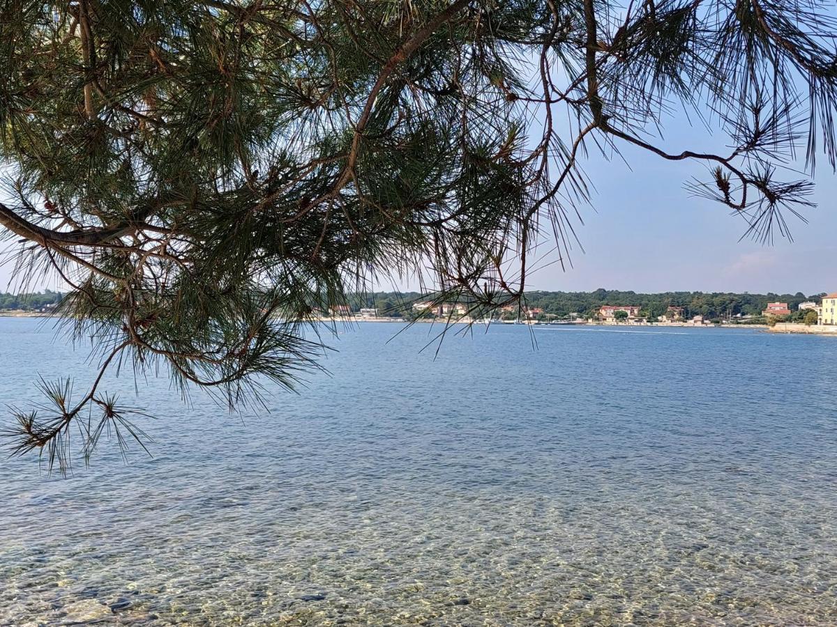 Apartments Henc Novigrad Istria Extérieur photo
