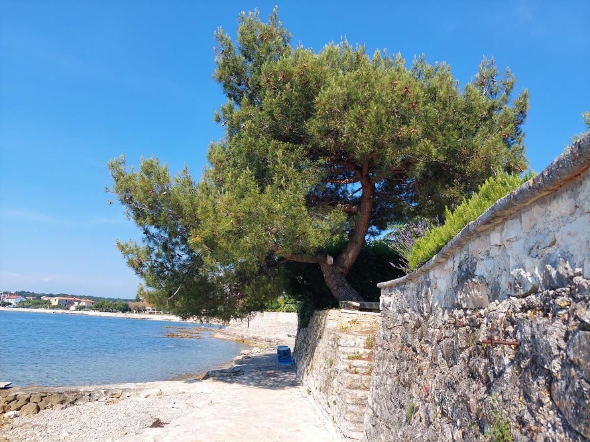 Apartments Henc Novigrad Istria Extérieur photo